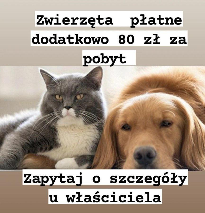 Cityaparthome6 Centrum Varsó Kültér fotó